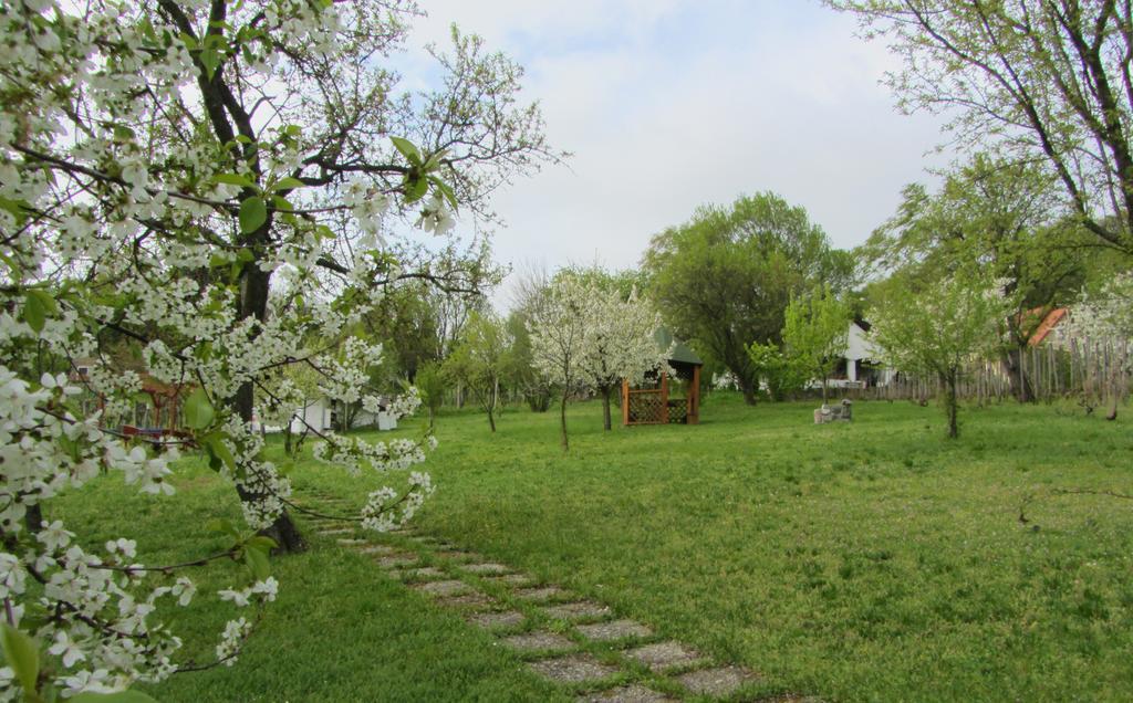 Szigligeti Panorama Apartmanhaz Luaran gambar